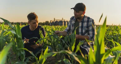 US farms are making an urgent push into AI. It could help feed the world